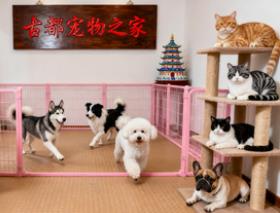 西安宠物托管所