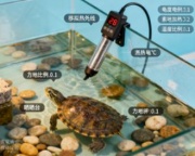 西安宠物龟粮投放上门更换龟缸清理垫材检查水温